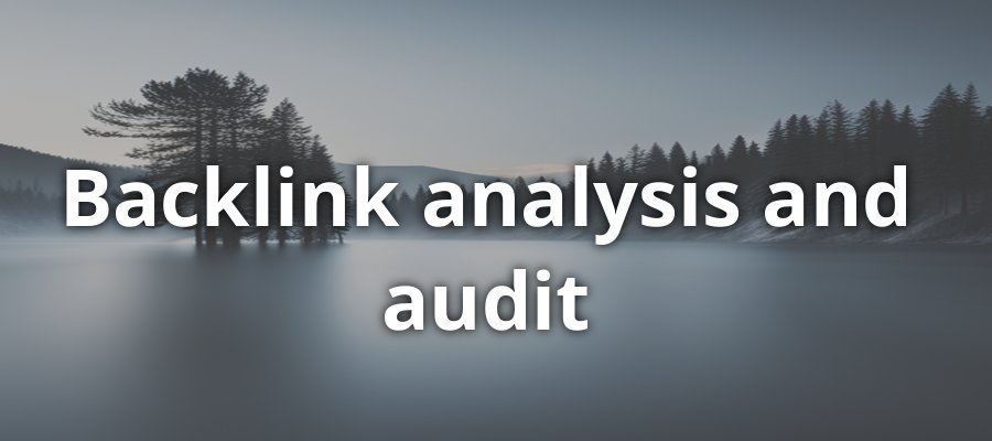 Backlink Analysis and Audit