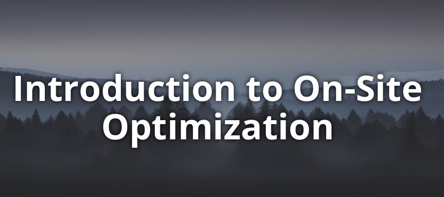 On-Site Optimization Guide Cover Image