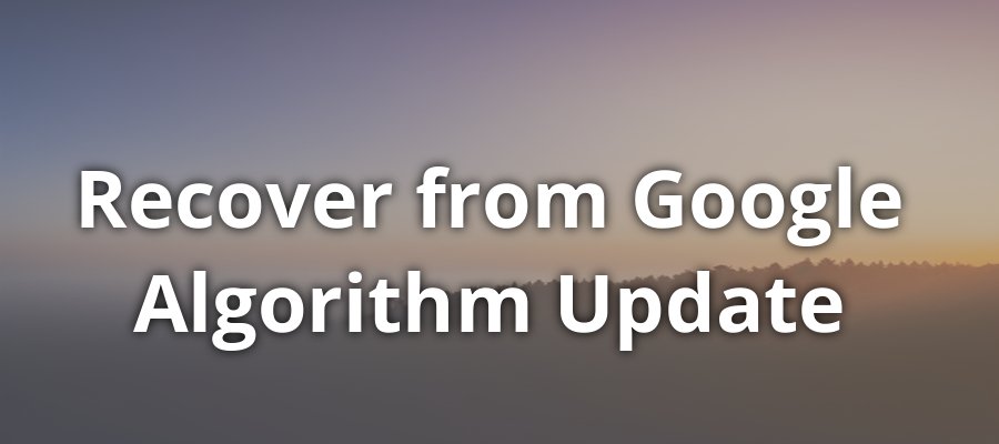 Recover From Google Algorithm Update: Proven Strategies