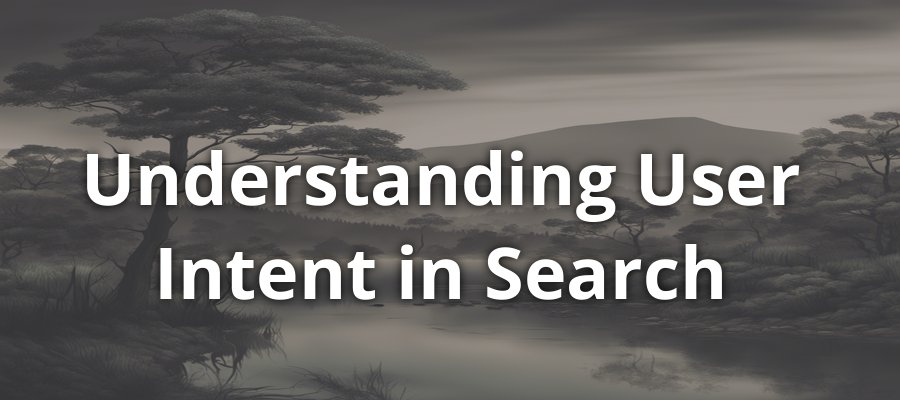 Understanding User Intent for SEO Search