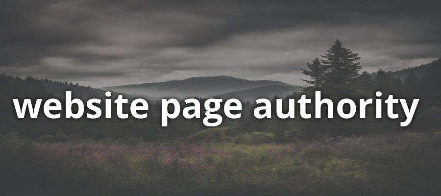 Website Page Authority Cover Image